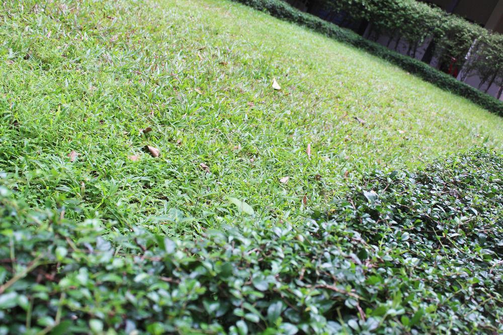 Angkor Riviera Hotel Siem Reap Zewnętrze zdjęcie
